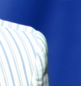 crop2.jpg