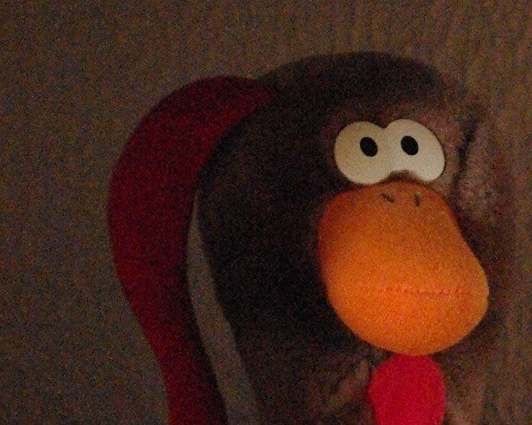 crop2.jpg