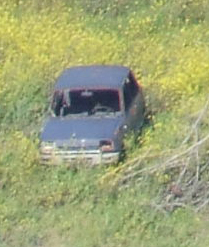 crop2_2.jpg