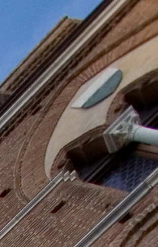 Crop2.jpg