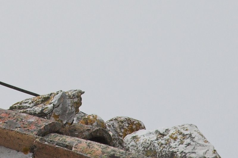 crop2 350D_100400_400mm1_500.jpg