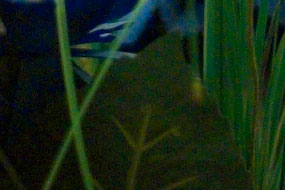 crop2.jpg