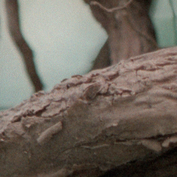 crop2.jpg