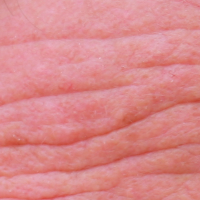 crop2.jpg