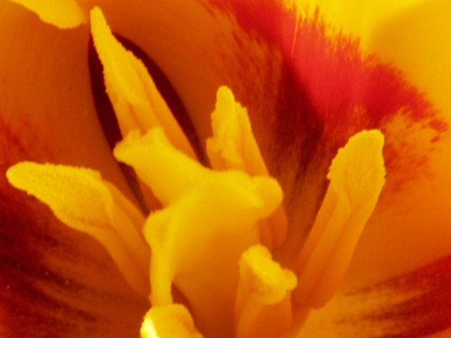CROP2.jpg