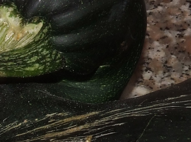 crop2zucchina.jpg