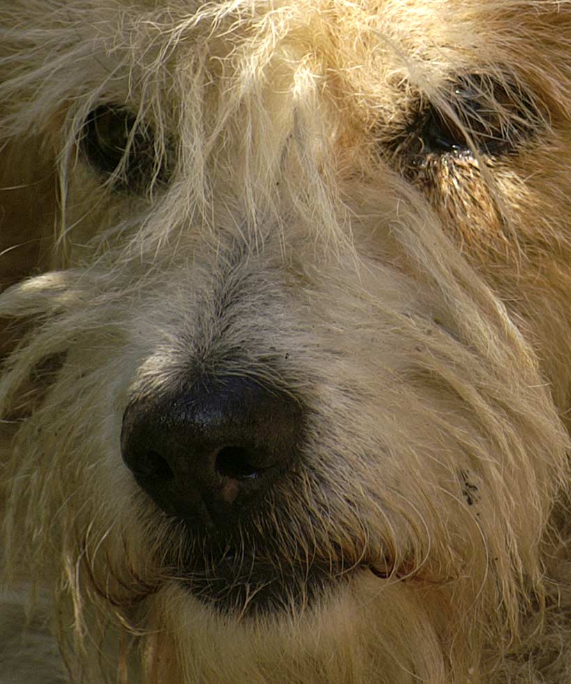 crop300mm.jpg