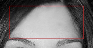 crop3.jpg
