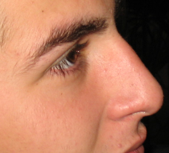 Crop3.jpg