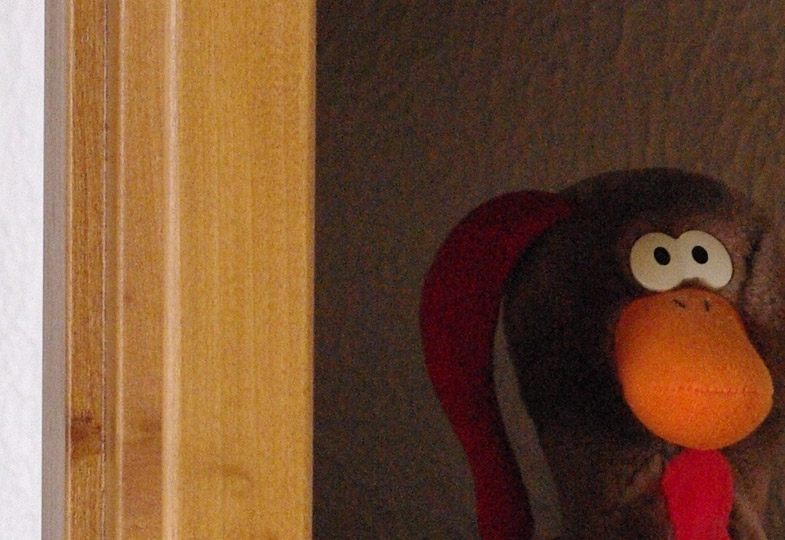 crop3.jpg