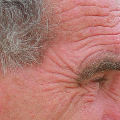crop3.jpg