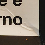 crop3.jpg