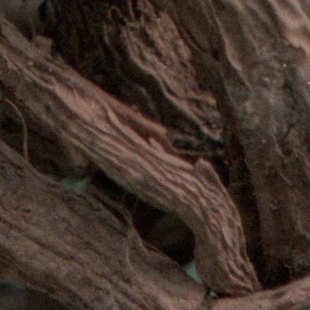 crop3.jpg