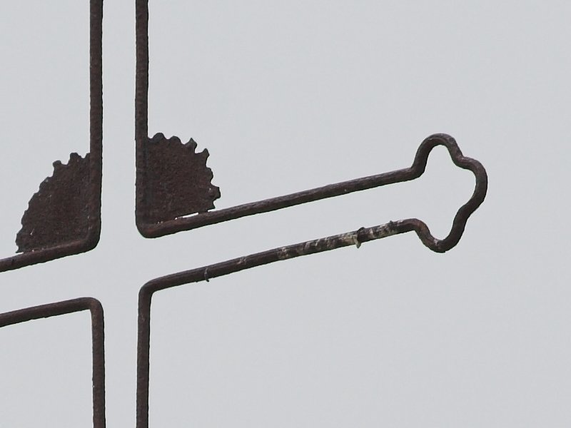 crop3 350D_100400_400mm1_500.jpg