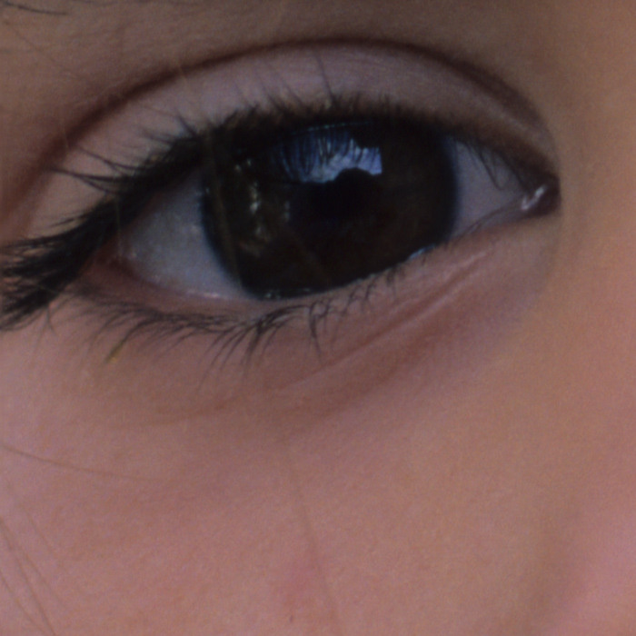 crop3.jpg