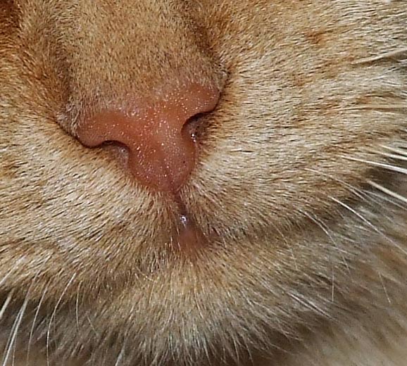 crop3.jpg