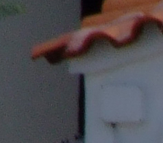 crop3.jpg