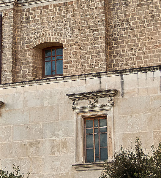 Crop4@2.8.jpg