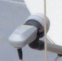 crop5.jpg