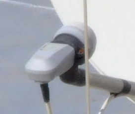 crop6.jpg