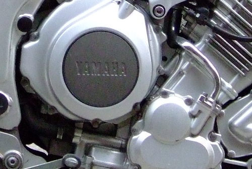 crop6mpx.JPG