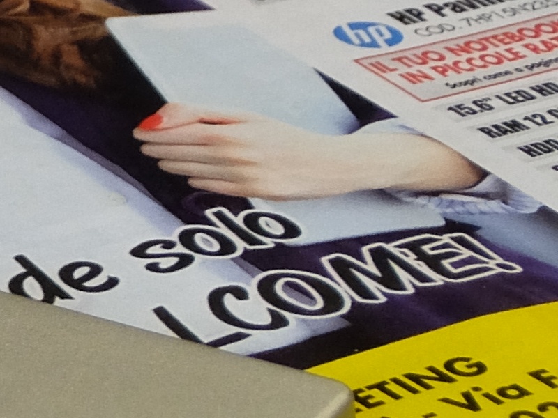 CROP 002.JPG