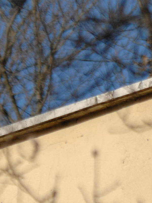 Crop_0160.jpg