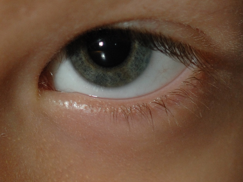 Crop_0216.jpg