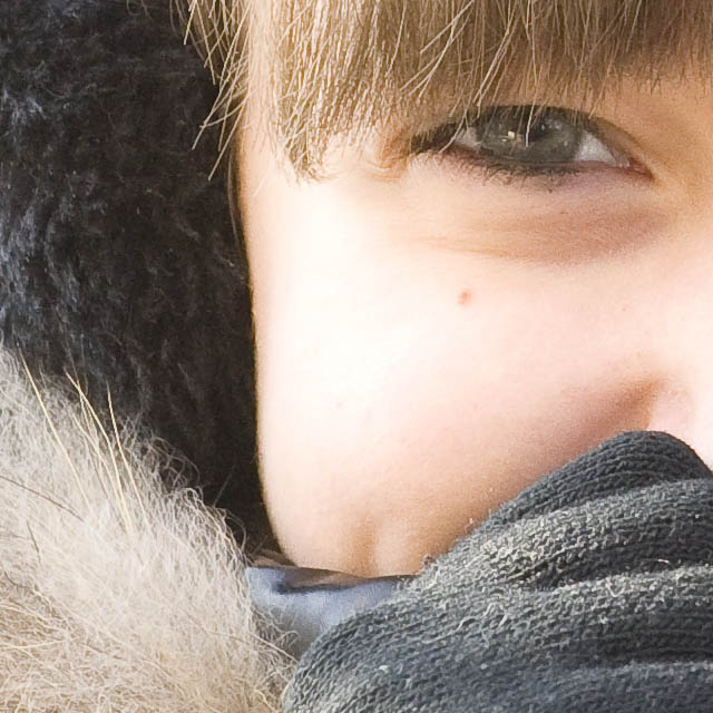 crop 100% f11 iso 2000.jpg