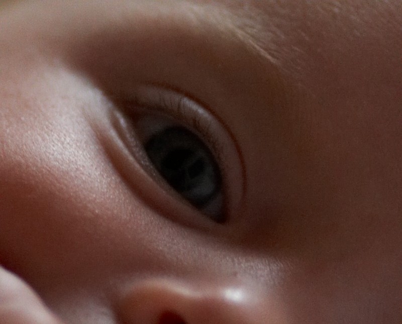 crop 1600 iso.jpg