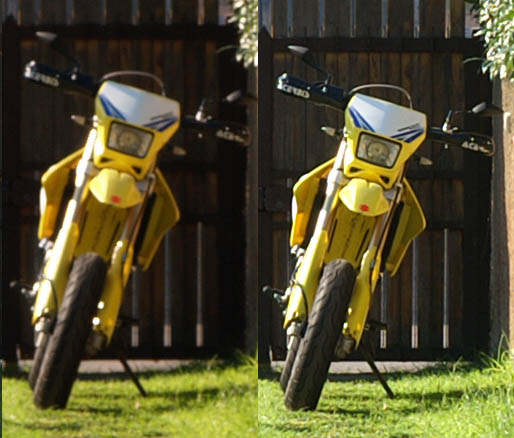 crop.jpg