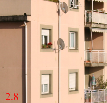 crop 2-8.jpg
