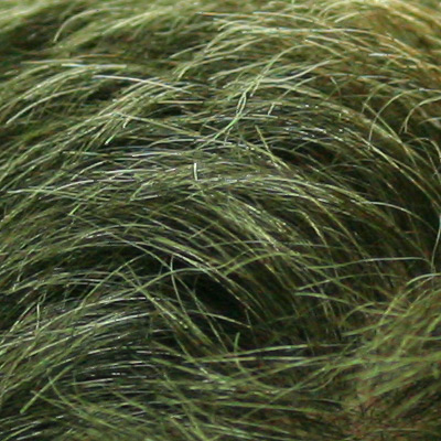 crop_3200iso.jpg