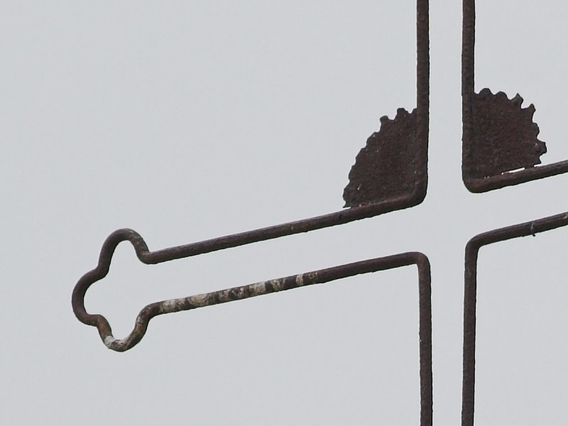 crop 350D_100400_400mm1_500.jpg