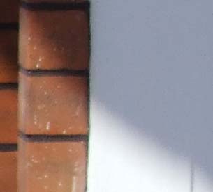 crop 3 hard.jpg