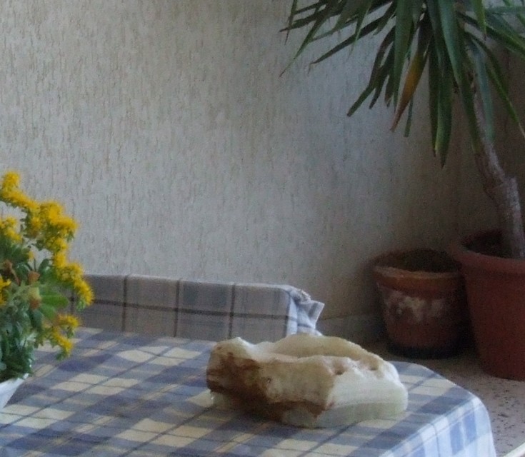 crop 400 iso 2 rid..jpg