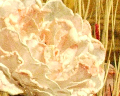 crop 4M F.jpg