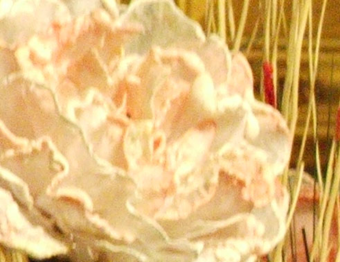 crop 4M N.jpg