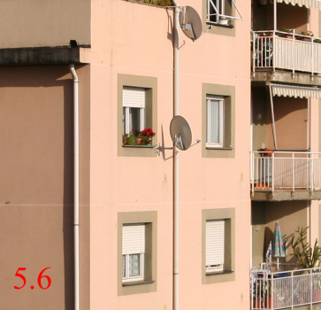 crop 5-6.jpg