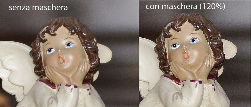 crop.jpg