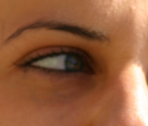 crop.jpg
