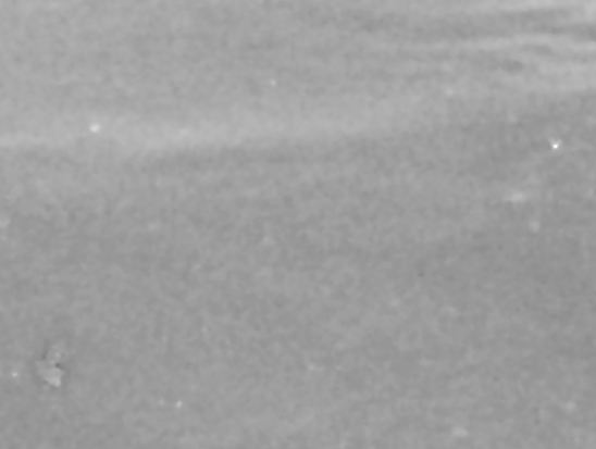 crop.jpg