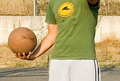 crop.jpg