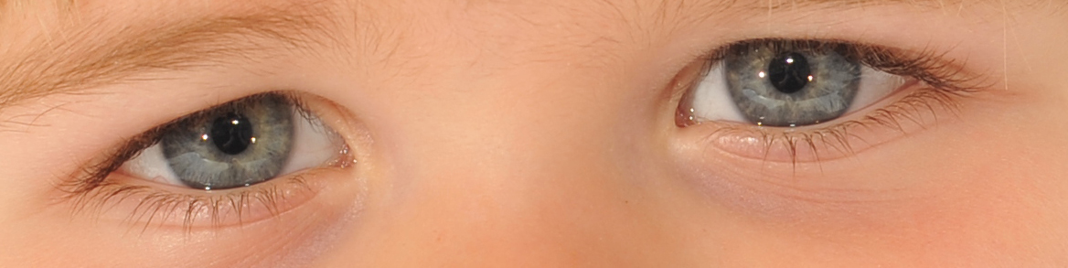 crop.jpg