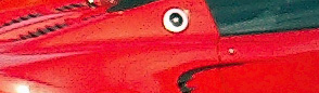 crop.jpg
