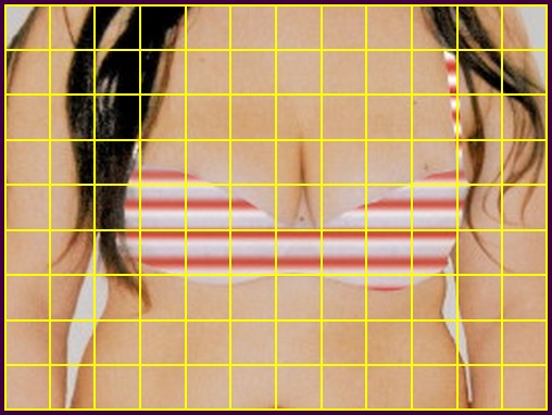 crop.jpg