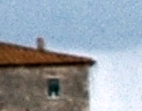 crop.JPG