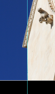 crop.jpg