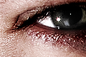 crop.jpg