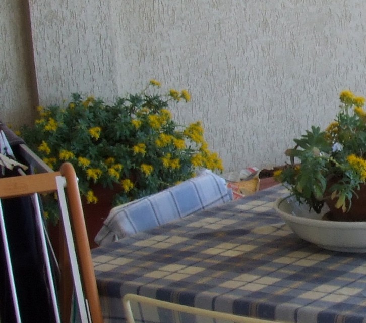 crop 80 iso 2 rid..jpg